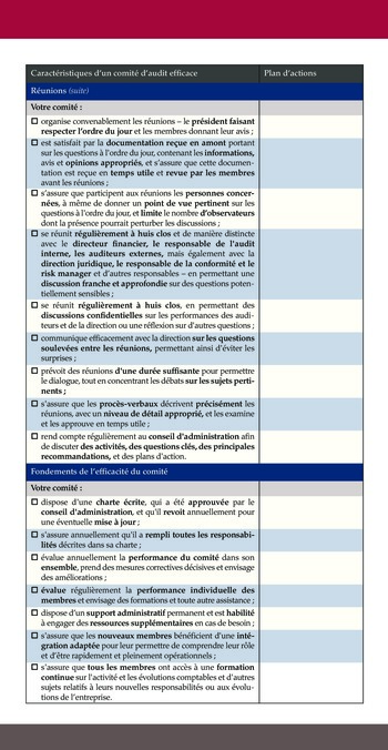 L'efficacité des comités d'audit : les meilleures pratiques page 11