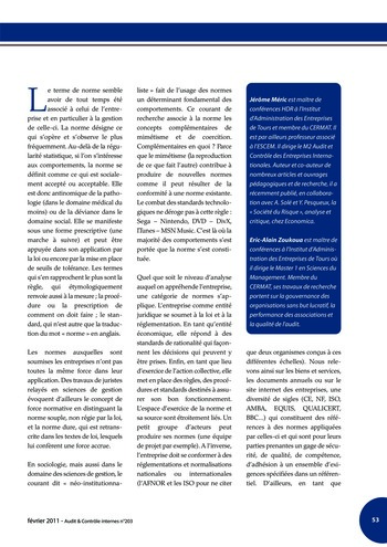 N°203 - fév 2011 Le contrôle interne page 53