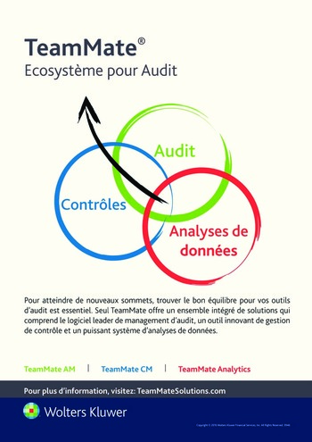 N°007 - juil 2016 L’audit interne et le développement durable / integrated reporting page 4