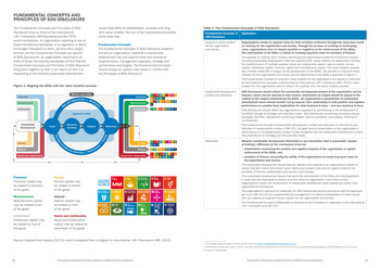 Sustainable Development Goals Disclosure (SDGD) Recommendations / ACCA, Chartered Accountants ANZ, ICAS, IFAC, IIRC and WBA page 5