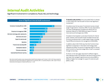 2022 IIA Premier Global Research Internal Audit - A Global View page 11